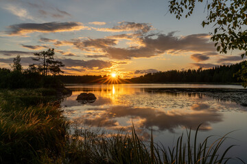 Sticker - colorful sunset reflected in a calm lake landscape with green forest and reeds