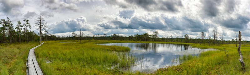 Sticker - panorama view of a peat bog landscape and marsh with a wooden boardwalk nature trail