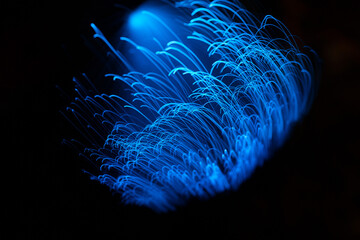 Wall Mural - blue abstract particles and lines with bokeh and blur in dark background.