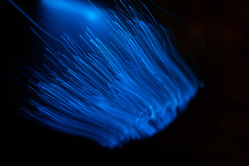 Wall Mural - blue abstract particles and lines with bokeh and blur in dark background.