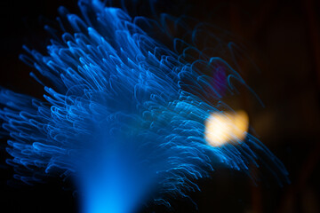 Wall Mural - blue abstract particles and lines with bokeh and blur in dark background.