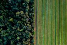 Graphic Top Down Aerial View Of Forest And Farmland Next To Each Other With A Clear Divide Between The Tree Tops And Cultivated Crop Meadow. Dutch Agriculture Landscape Seen From Above.