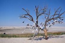 Turkey. White Salina Salt Lake And Many People On White Ground With A Tree With Many Wishful Clothes Hanging For People Wishes