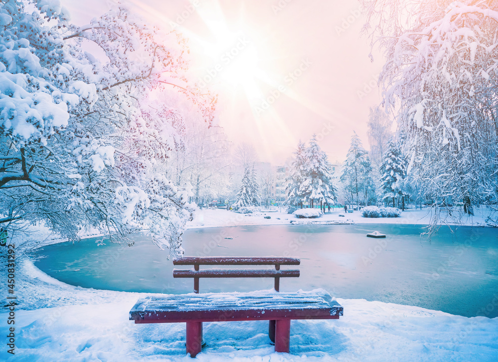 Bench in the city snow-covered winter park with a lake and beautiful ...
