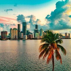 Wall Mural - city skyline at sunrise Miami Florida Brickell