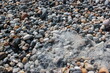 Lots of bubbles on the beach pebbles