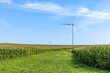 Wind Turbine on a Sunny Summer Day on Farm in Iowa