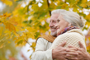 Portrait of beautiful senior couple hugging in the park