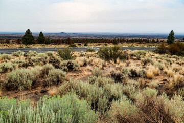 Wall Mural - Lava Beds National Monument, California, USA