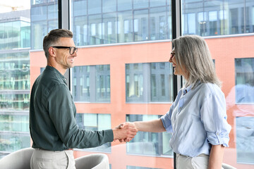 Wall Mural - Two happy professional businessman and businesswoman executive leaders shaking hands at office meeting. Smiling businesspeople greeting partner with handshake. Leadership, trust, partnership concept.
