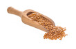 golden flax seeds in wood scoop on white background