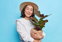 Pleased Young Asian Woman Closes Eyes Embraces Pot Of Houseplant Happy To Buy New Flower For Her Home Garden Wears Hat White Blouse Isolated Over Blue Background. People And Lifestyle Concept