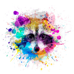 Wall Mural - close up portrait of a raccoon