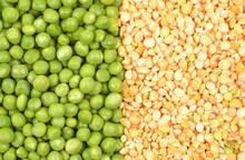Background Of Fresh Green Peas And Dry Yellow Grits.The Concept Of Growing And Caring For Agriculture, Biology, Agronomy, Breeding, Vegetarianism, Protein Production, Sports Nutrition.Copyspace