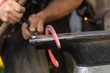 A farrier at work. A blacksmith preparing a horseshoe to apply it on a horse hoof. Horse shoeing proceeding