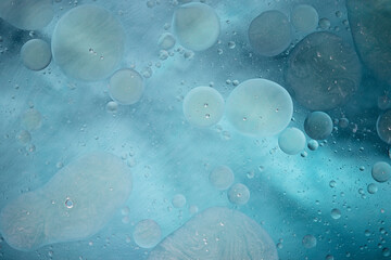 Wall Mural - macro photo of water droplets in oil with a colorful abstract background