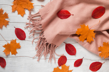 Fotomurales - Autumn bright colorful leaves with warm scarf on white wooden background