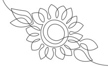 One Line Sunflower Element. Black And White Monochrome Continuous Single Line Art. Floral Nature Woman Day Gift Romantic Date Illustration Sketch Outline Drawing