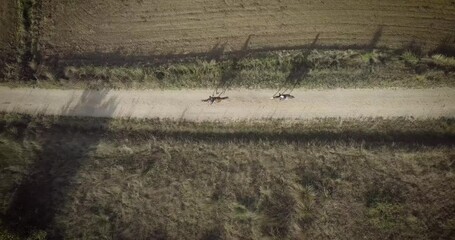 Wall Mural - Deux cavaliers sur des chevaux au galop sur un chemin dans le sud de la France