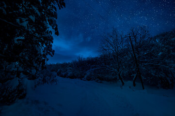 Wall Mural - mountain road through the snowy forest on a full moon night. scenic night winter landscape of dark b