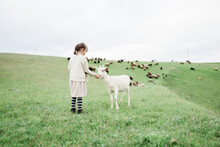 Little Girl Feeding Goats On The Farm. Agritourism Concept. Life In The Countryside