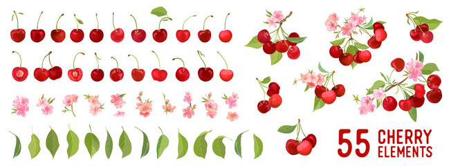 Wall Mural - Cherry berry fruits, flowers, leaves vector watercolor element illustration. Set of whole, cut in half, sliced on pieces