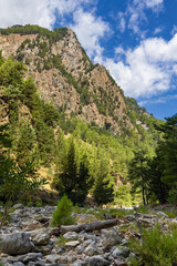 Wall Mural - Dry riverbed and towering cliffs in a huge natural gorge (Samaria Gorge, Crete, Greece)