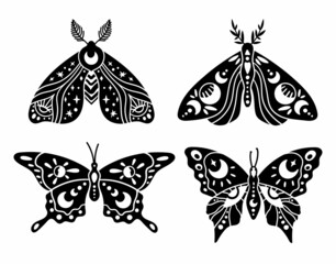 Wall Mural - mystical boho celestial butterfly and moth isolated cliparts bundle, mystical silhouette collection,
