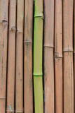 Fototapeta Sypialnia - Closeup of painted bamboo fence background