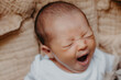 © Ananass - portrait of a cute newborn baby who just woke up, bubbling and stretching
