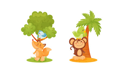 Wall Mural - Adorable animals measuring height set. Cute monkey, fox and birds animals comparing height cartoon vector illustration