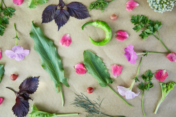  Vegetable frame: beet, basil, eggplant, parsley, bell pepper, hot pepper, potatoes, cucumber, carrots. Italian vegetable recipe. Veganism concept food.Top view, copy space