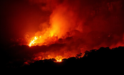 Wildfire At Night