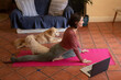 © Wavebreak Media - Caucasian woman in living room with her pet dogs, practicing yoga, using laptop