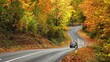 Bendy road in a colorful forest in autumn, with a car moving through the tranquil vibrant landscape 

