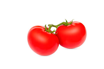 Wall Mural - On a branch, two ripe tomatoes on a white background, isolate of red tomatoes