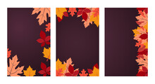 Autumn. Vector Background Collection With Copy Space. Three Banners With Autumn Colorful Leaves On Dark Purple Backdrop. Flat Design