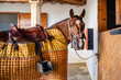 © ADDICTIVE STOCK - Bullfighting horse standing in stable