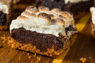 Canvas Print - Sugary Homemade Chocolate Smores Brownies