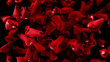 Flying rose petals isolated on black background.