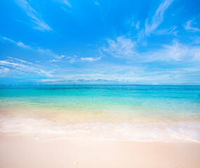 Wall Mural - sandy beach and beautiful tropical sea