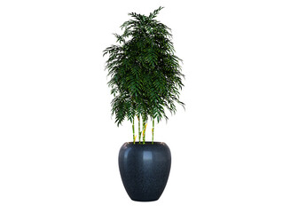 Canvas Print - Plant 3d Rendering