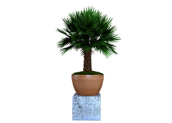 Wall Mural - Plant 3d Rendering
