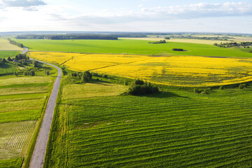  Aerial view of rapeseed field blossom and road