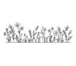 Vector wild herbs and flowers silhouette background. Field with grass and wildflowers isolated on white.