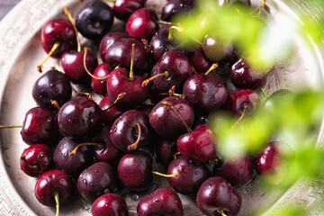 Pile of ripe sweet cherries with stalks in a tray