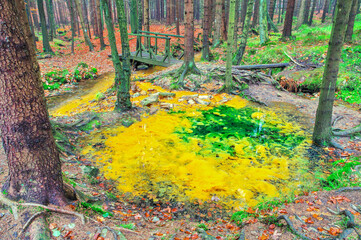 Poster - Schwefelquelle im Zittauer Gebirge -  sulfur source in Lusatian Mountains in autumn