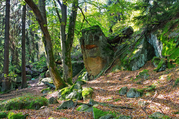 Sticker - Felsen im Zittauer Gebirge in der großen Felsengasse - rocks in Zittau Mountains, autumn