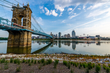 Wall Mural - Reflections of the Cincinnati Skyline in the Ohio River