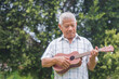 A happy senior man with short gray hair playing the ukulele, holding and looking at the ukulele while standing in a garden. Enjoy life after retiring. Concept of aged people and relaxation